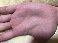 生命線が短いです 短命なんでしょうか 手相見て分かる方回答 Yahoo 知恵袋