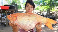 金魚を水槽ではなく池で飼うと かなり大きくなりますよね フナ化して Yahoo 知恵袋