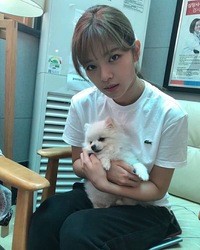 Twiceのメンバーが飼っているペットの写真と名前を全部教えてください Yahoo 知恵袋