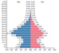 この人口ピラミッドの国名と要因教えてください 男性比率が高いアラブの Yahoo 知恵袋