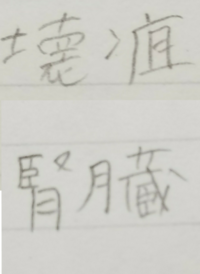 漢字の読み方を教えてください 束2つでなんて読む 木2つでは Yahoo 知恵袋