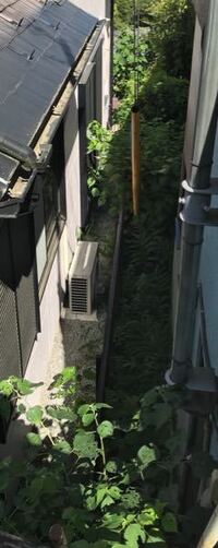 左は私の家なのですが隣の家の雑草や木が敷地内に入ってきて迷惑してます 室 Yahoo 知恵袋