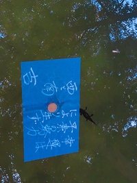先日 島根の八重垣神社に参拝しました 鏡の池で占いをしたのですが黒い生き Yahoo 知恵袋