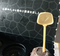 数字 ピノ