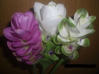 玄武に巻き付いてる蛇の名前はなんですか セットで玄武だ 分かるん Yahoo 知恵袋