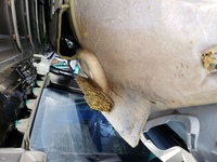 なぜトヨタはｗｒｃを追放されたんですか レギュレーション違反で Yahoo 知恵袋