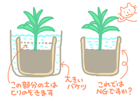 観葉植物の土から小さな黒い虫が出て来ます 小さな点の様な虫が鉢の近くのフ Yahoo 知恵袋