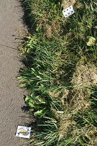 高齢出産される方について 30代後半や40代で出産される方が増 Yahoo 知恵袋