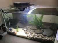 タナゴを一緒に飼えますか 屋外のプラ舟 180l にメダカ ミナ Yahoo 知恵袋