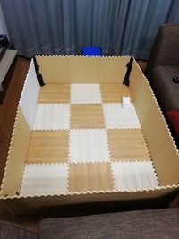 ハムスターを部屋に離して散歩させたいのですが 部屋の広さは６畳で家具などを除け Yahoo 知恵袋