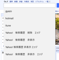 Yahoo Japanログインページのid表示を消したい Ya Yahoo 知恵袋