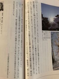 文法がホントに分からないので 動詞 形容詞 形容動詞で分けても Yahoo 知恵袋