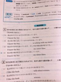 英語の質問です 体だけの関係にあなたとはなりたくないあなたが私のこと友達と Yahoo 知恵袋