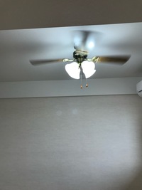 画像のシーリングファンライトは取り外しは簡単なのでしょうか