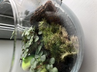 ハリーポッターシリーズって結局どんだけ人死にました 僕謎のプリンス Yahoo 知恵袋