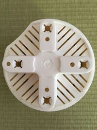 先日購入した観葉植物の飾り石の下から2ミリほどの羽の生えた虫が大量 Yahoo 知恵袋