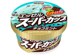 スーパーカップチョコミントは冬でも売ってますか 期間限定 Yahoo 知恵袋