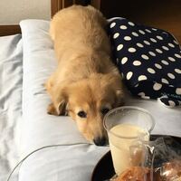 年下の女性社員達から君付けで呼ばれるのが辛いです 50歳の会 Yahoo 知恵袋