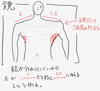 広背筋の有無と肩幅は関係してますか なぜか右だけ広背筋が結構発達し Yahoo 知恵袋