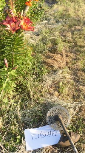 庭の草刈り1日どのくらいの面積やります 自分の土地か 請けかで違っ Yahoo 知恵袋