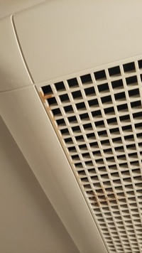 お風呂に入ろうとしたら 換気扇から画像のような茶色いものがでていました 昨夜は特 教えて 住まいの先生 Yahoo 不動産