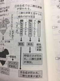 二酸化炭素を溶かした緑色のbtb溶液ってどういうことですか なぜ黄色では Yahoo 知恵袋