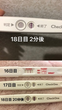 検査薬反応について フライング検査に理解のある方の回答をいただ Yahoo 知恵袋