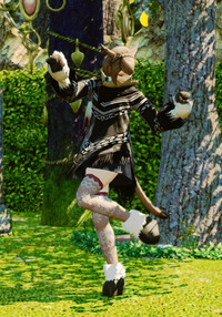 Ff14の優遇鯖のボーナスについて質問です 優遇鯖で新規キャラク Yahoo 知恵袋