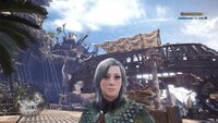 モンスターハンターワールドのキャラメイクについてキャラメイ Yahoo 知恵袋