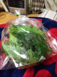 今日イオンネットスーパーで買い物したら届いた物が腐っていた
