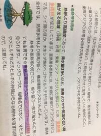 生物基礎についてです この緑で引いたとこなのですが 亜熱帯多雨林っ Yahoo 知恵袋