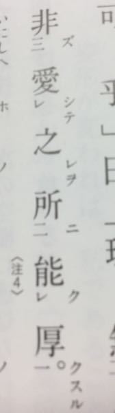 実況者キヨさんのこちらの指輪を探しているのですがどこのものか分かりますか Yahoo 知恵袋