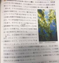 写真の文章を参考にして 下の問題を教えてください 特定の生物が生 Yahoo 知恵袋