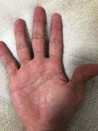 パラスを育てたい 只今ポケモンｈｇにて 以下のステータスのパラスを育て Yahoo 知恵袋