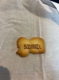 ギンビスのたべっ子どうぶつの英語について教えて下さい 小さい保育園につと Yahoo 知恵袋