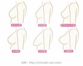 横に広がる バスト