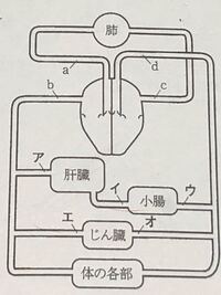 何故 岡山にはテレ東系列である テレビせとうち があるのに 広島にはそれが Yahoo 知恵袋
