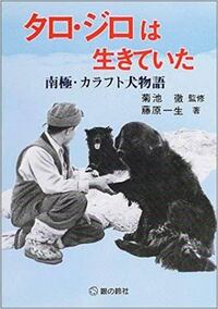 犬も凍死しますか 外で飼われている犬は氷点下の真冬でも凍死 Yahoo 知恵袋