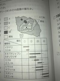 高校生物基礎陽樹と陰樹に分けてください1 アカマツ2 クロマツ3 ヤシャブ Yahoo 知恵袋