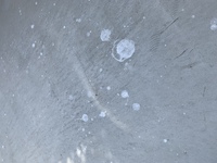 鳥のフンでしょうか 二階のベランダにもありました真っ白です Yahoo 知恵袋