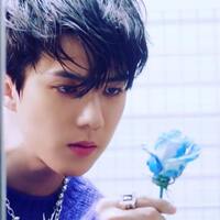 Exo セフン 写真集 Www Opimed Com