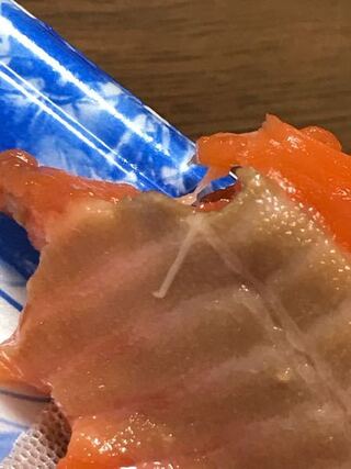 虫 サーモン 寄生