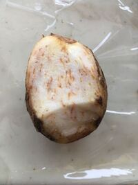 山芋を切ったら断面に薄い黄色の斑点のような変色がみられました これは食べら Yahoo 知恵袋