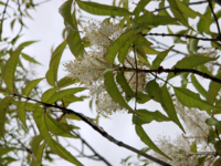 都立多摩図書館で勉強しようと思ったのですが 多摩図書館は勉強出来るのでしょうか Yahoo 知恵袋