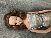 ベルガラックにあると言われるスパンコールドレスってどこにあるんですか 早急に教 Yahoo 知恵袋