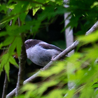 ど田舎の田んぼ00平米はどれくらいの価値がありますか 売ると Yahoo 知恵袋