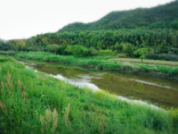 道を聞かれるのって何か嫌じゃないですか 私は道を聞かれるのが嫌だ Yahoo 知恵袋