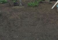 庭の土が痩せてきまして 雨でもジメジメします 盛り土というのでしょうか Yahoo 知恵袋