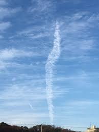 てんかん発作中の脳波について てんかんかどうかの判断の1つに脳波検査があり Yahoo 知恵袋