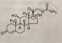 至急！！

ヒドロコルチゾン酢酸エステルの確認試験

操作：
ヒドロコルチゾン酢酸エステル0.01gにメタノール1mLを加えて、加温して溶かし、フェーリング試液1m Lを加えて加熱すると、赤色の沈殿を生じた。

質問： ヒドロコルチゾン酢酸エステルはアルデヒド基又はα-ヒドロキシケトンを持たないのに、フェーリング反応した。この操作のどこかでアルデヒド基が生成したと思われる。どうやってアルデヒ...